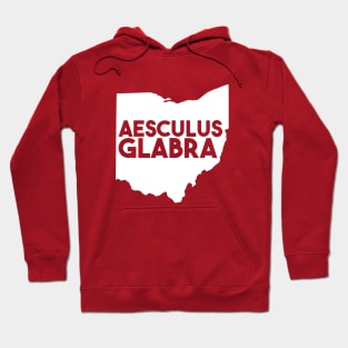 Ohio - Aesculus Glabra Hoodie